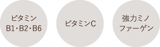 ビタミンB1・B2・B6・ビタミンC・強力ミノファーゲン