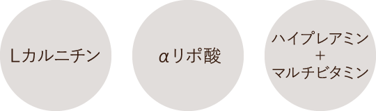 Lカルニチン・αリポ酸・ハイプレアミン+マルチビタミン
