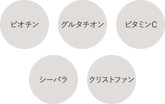 ビオチン・グルタチオン・ビタミンC・シーパラ・クリストファン